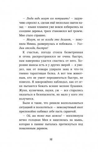 День огня фото книги 3