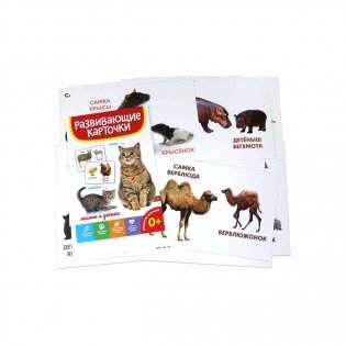 Развивающие карточки. Мамы и детки фото книги 2