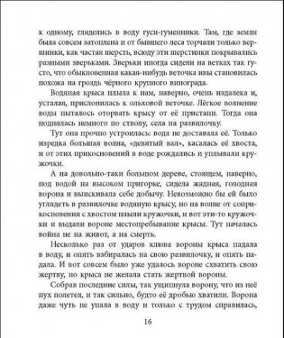 Берестяная трубочка фото книги 3