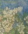 In the Presence of Things. Four Centuries of European Still-life Painting фото книги маленькое 2