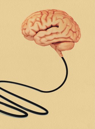 Мозг. Большая энциклопедия фото книги 4