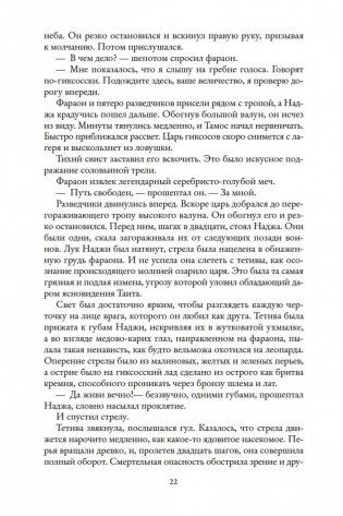 Чародей фото книги 22