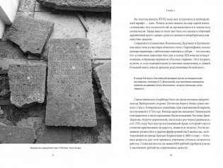 Некрополи Петербурга. Адамовы головы, холерные кладбища и Гром-камень фото книги 3