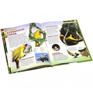 Животные фото книги 2