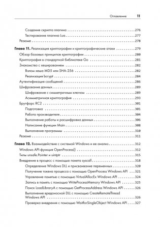 Black Hat Go: Программирование для хакеров и пентестеров фото книги 7