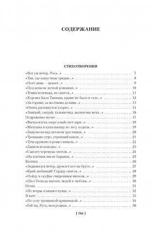 «Мне осталась одна забава...» Стихотворения, поэмы, проза. Полное собрание сочинений фото книги 2