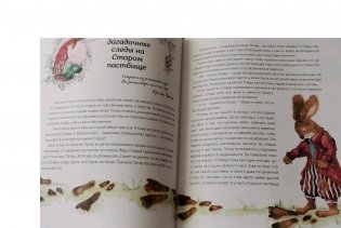 Книга про кролика Питера и госпожу крольчиху фото книги 5