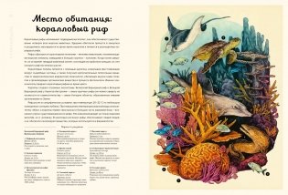 Океанариум фото книги 4