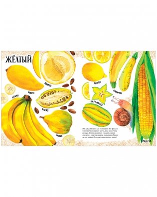 Приключения улитки Элли в мире фруктов и овощей фото книги 5