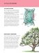 Растения: полная энциклопедия фото книги маленькое 6