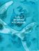 Остров мечты. Секрет стражей леса фото книги маленькое 7