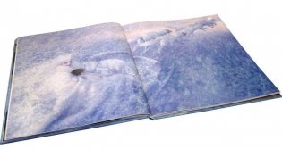 Снежная королева фото книги 14