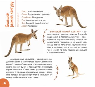 Уникальный мир Австралии и Океании фото книги 3