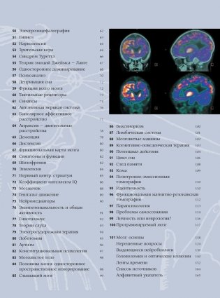 Мозг. История, теории и практики фото книги 5
