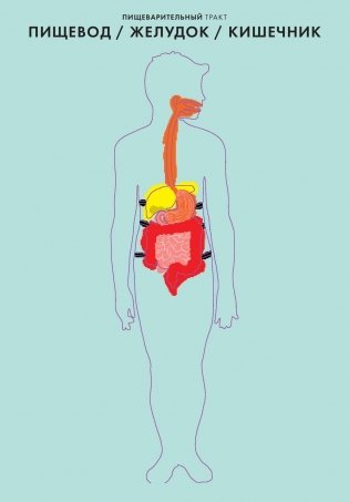 Анатомия фото книги 4