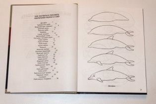 Рисование. Первые шаги фото книги 4