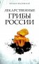 Лекарственные грибы России фото книги маленькое 2