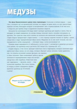 Большая энциклопедия океана фото книги 6