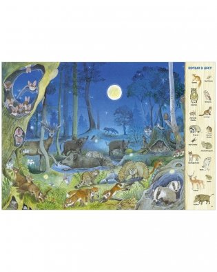 Найди и покажи. 1000 животных фото книги 10