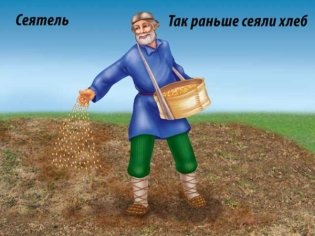 Демонстрационный материал "Хлеб-всему голова" фото книги 4