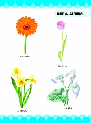 Цветы. Деревья фото книги 3