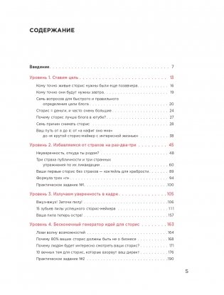 Миллион за 15 секунд. Как зарабатывать на блоге в Инстаграм с помощью коротких видео фото книги 6