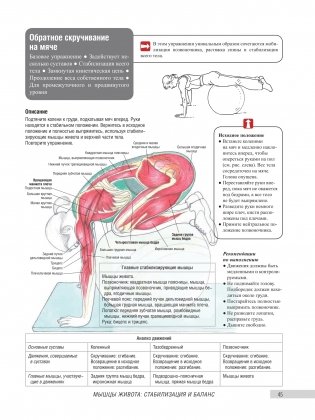Анатомия фитнеса и силовых упражнений для женщин фото книги 8