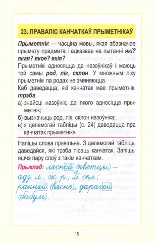 Работа над памылкамi. Беларуская мова фото книги 6