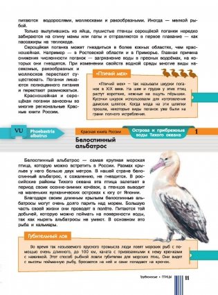 Красная книга России фото книги 11
