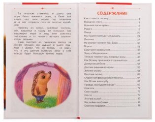 Ёжик и Медвежонок. Внеклассное чтение фото книги 3