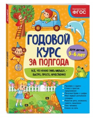 Годовой курс за полгода. Для детей 5-6 лет фото книги 2