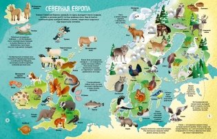 Мир животных в картинках фото книги 3