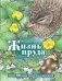 Жизнь пруда фото книги маленькое 2