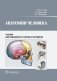 Анатомия человека: учебник для медицинских училищ и колледжей фото книги маленькое 2