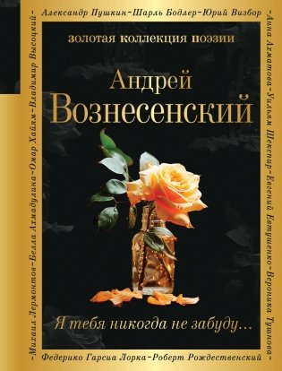 Я тебя никогда не забуду... фото книги