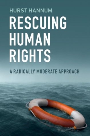 Rescuing Human Rights фото книги