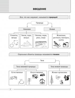 Биология. 6 класс. Опорные конспекты, схемы и таблицы. ГРИФ фото книги 2