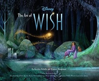 The Art of Wish фото книги
