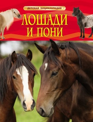 Лошади и пони фото книги