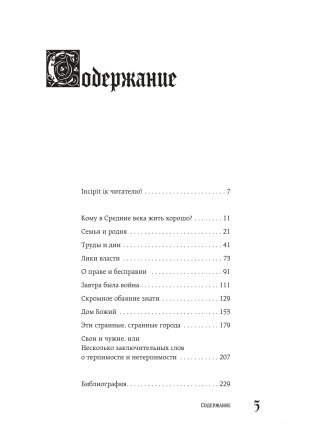 Средневековье крупным планом фото книги 2