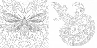 Божественные создания. Золотая коллекция любимых иллюстраций фото книги 3