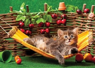 Пазл "Котёнок", 500 элементов фото книги