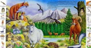 Животные и растения гор фото книги 2