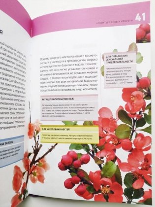 Ароматерапия для начинающих. Сила бодрящих запахов фото книги 4