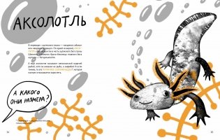 Микросупергерои. Самые-самые самовосстанавливающиеся! фото книги 7