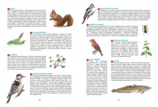 Времена года. Иллюстрированная энциклопедия фото книги 4