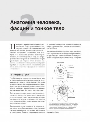Анатомия йоги: раскраска. Изучите форму и биомеханику более чем 50 асан фото книги 9