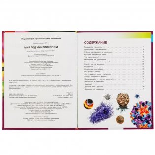 Энциклопедия с развивающими заданиями "Мир под микроскопом", 48 страниц фото книги 2