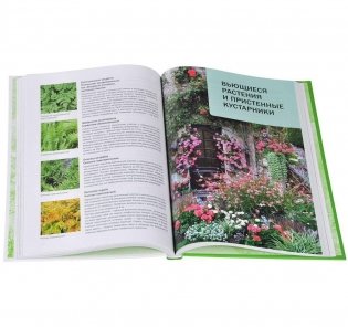 Большая книга цветовода фото книги 3