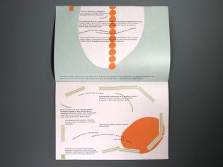 Странная оранжевая косточка фото книги 6